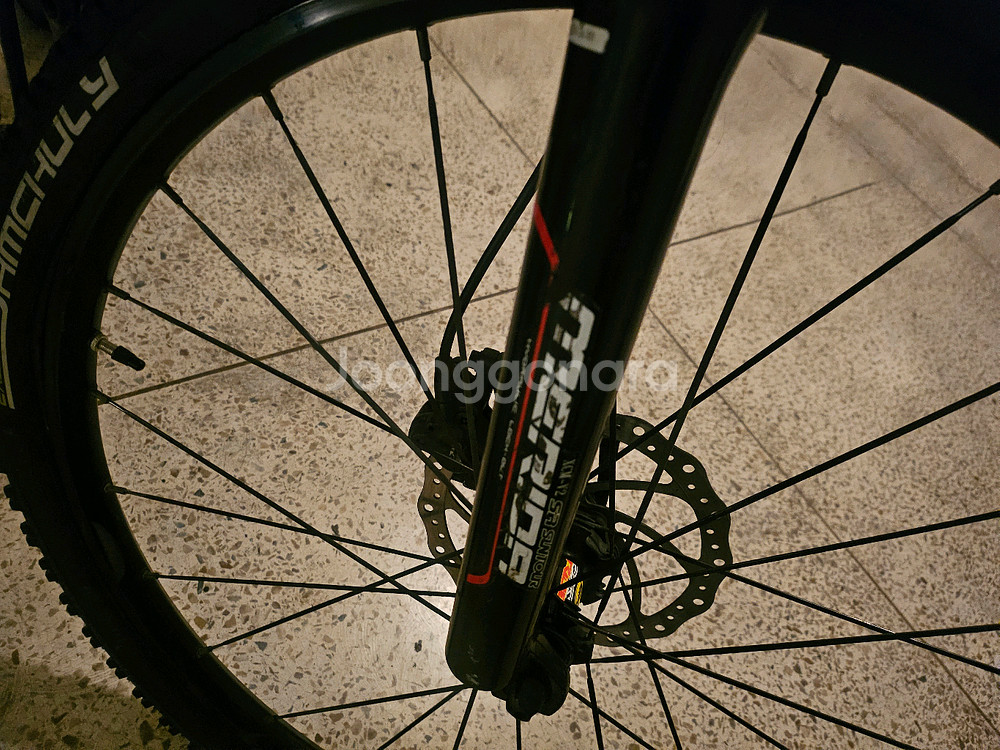 전기자전거 바팡 36V 500W 배터리 20ah--2