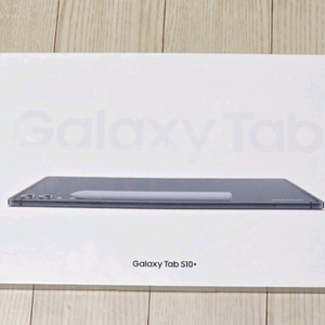 갤럭시탭 S10+ 256GB 와이파이