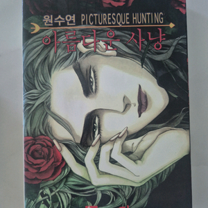 원수연 아름다운사냥 . 천계영 언플러그드보이