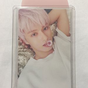 세븐틴 teen age 앨범 세트 ( 박수때 앨범 ) 이미지