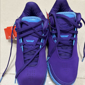 나이키 농구화 릅젠 265 새상품