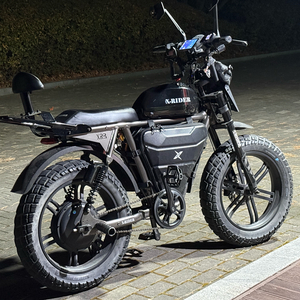 엑스라이더 X200 터보 배터리 두개 전기자전거 자토바이 판매합니다