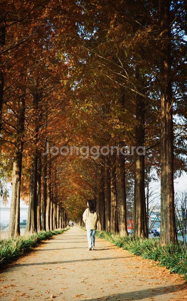 캐논 AF35 ML(A급) 앤디워홀 카메라--7