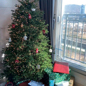 폰스테르 크리스마스 트리 PE100%