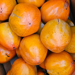 산세깊은골 단감&대봉감 11키로