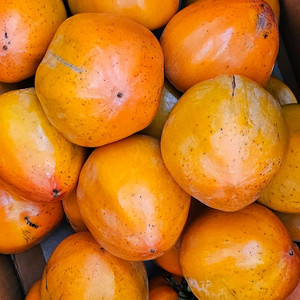 산세깊은골 단감&대봉감 11키로