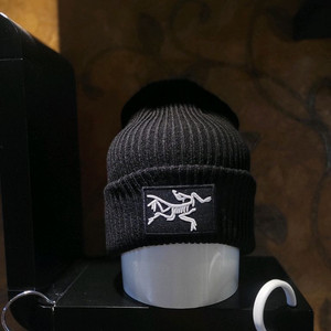 아크테릭스 비니모자