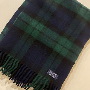 얼바닉30 머플러