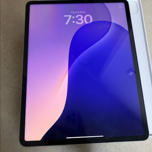 아이패드 프로 6세대 12.9 m2 256GB 셀룰러