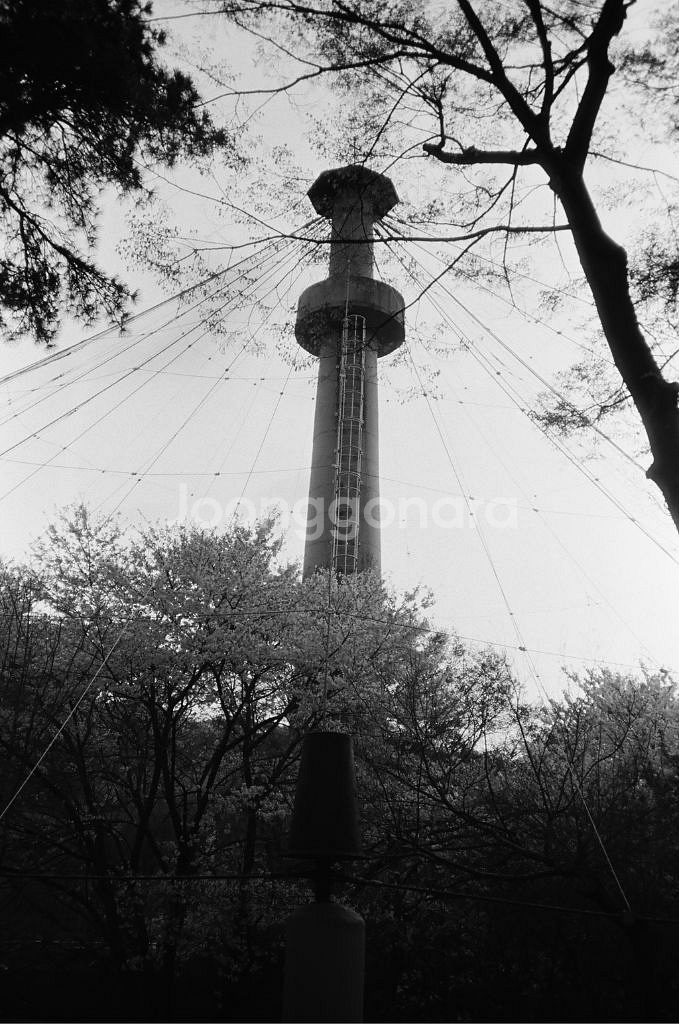 코니카 빅미니 301--7