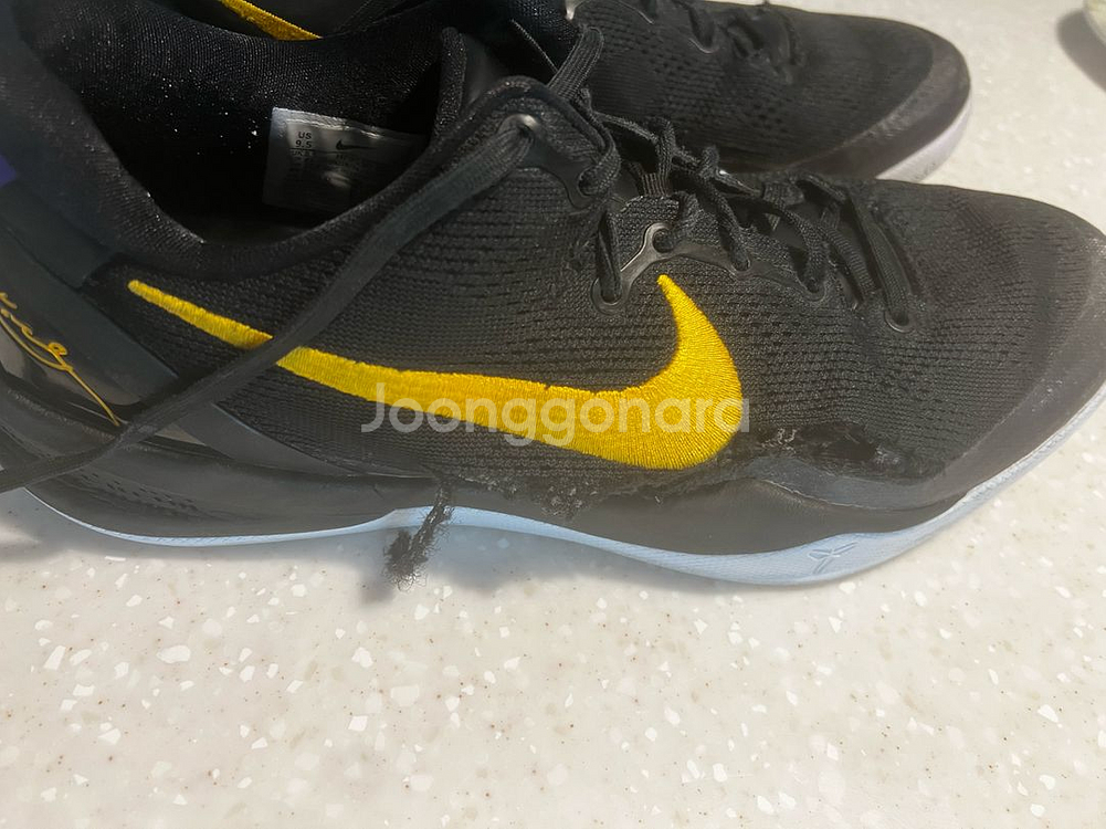 나이키 농구화 코비 8 프로트로--1