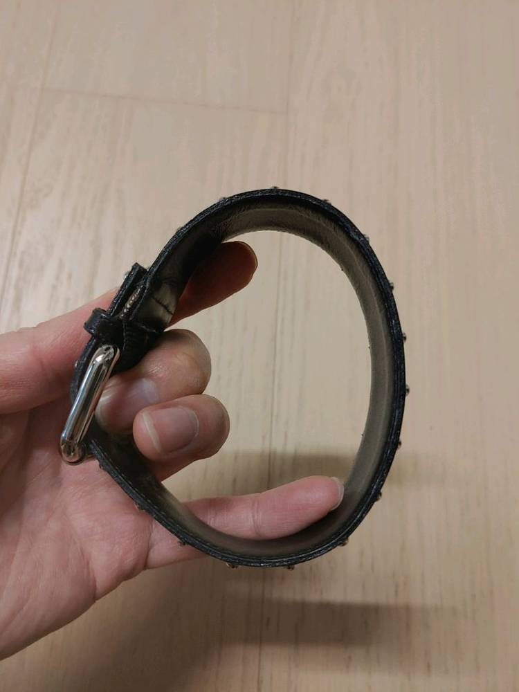 루이비통 강아지 목줄?--3