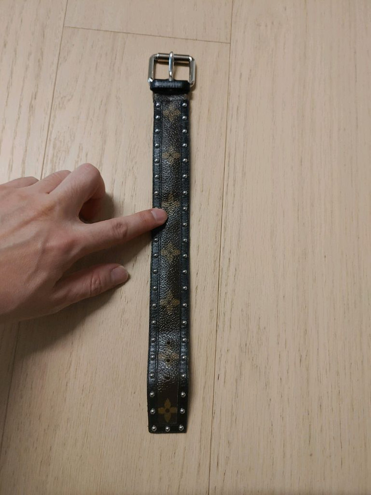 루이비통 강아지 목줄?--4