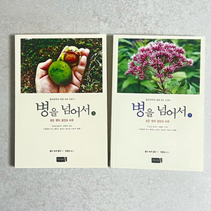 병을 넘어서 1,2권 세트 훌다클락