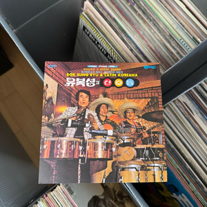 가요 희귀반 유복성과 신호등 LP