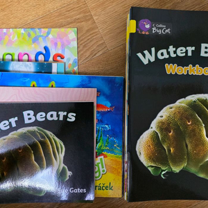 수퍼맘 빅캣파닉스 옐로우블루, 리더스 옐로우블루그린오렌지터쿼즈블루(워크북포함)토킹펜