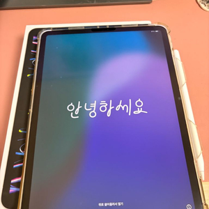 아이패드 프로 4세대 11인치 m2 256기가 실버 와이파이+애펜2