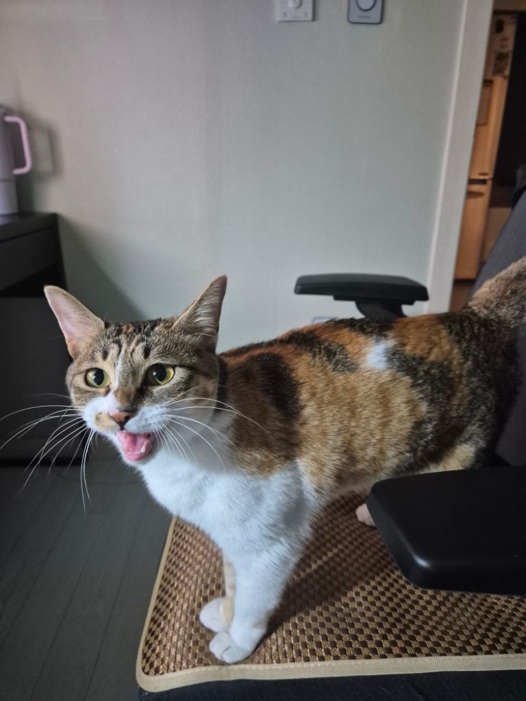 프로필 이미지