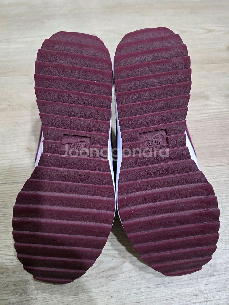 나이키 골프 코트로얄 스파이크리스 골프화 235mm--5