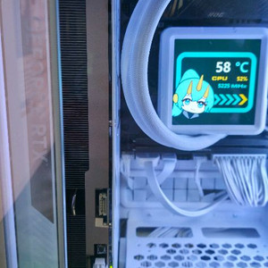 조택 솔리드 5080 화이트