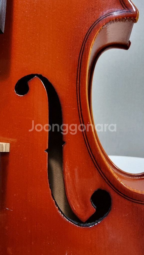 키소 스즈키 바이올린 No.350 4/4 1982년 + 스기토 활 + 하드케이스 + 숄더레스트--1