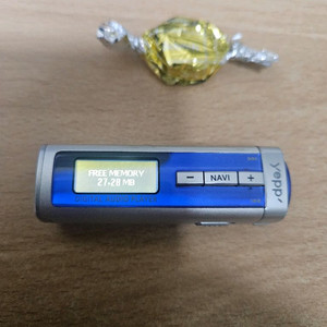 삼성 YEPP YP-T55 MP3 플레이어