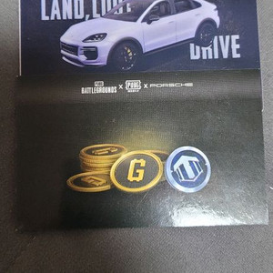 배틀그라운드 G코인