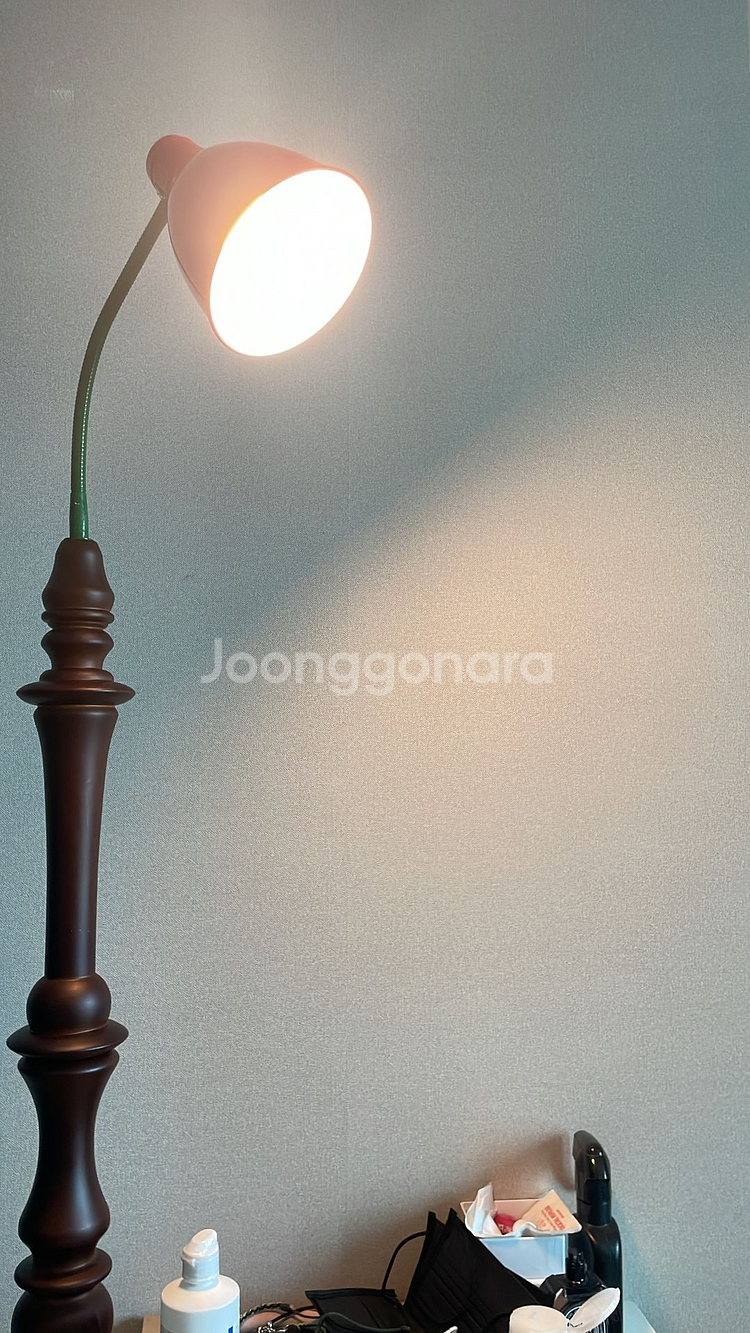세이투셰 믹스드 플로어 램프--0