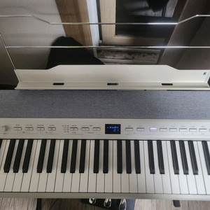 커즈와일 kap1w 목건반 디지털피아노