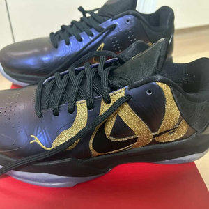 나이키 코비 5 프로트로 이어 오브 더 맘바 에그플랜트