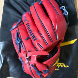 미즈노 프로 글러브(11.5)인치