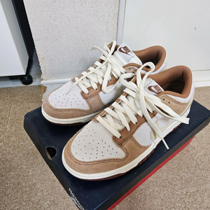 나이키 덩크 로우 커리 260mm