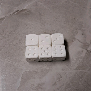 6면 다이스 주사위 6개