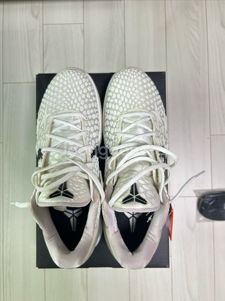 코비6 세일 280 새상품급--1