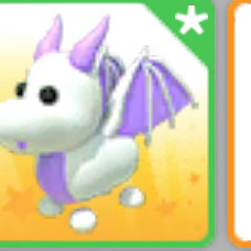 입양하세요 무능 라벤더 드래곤 이미지