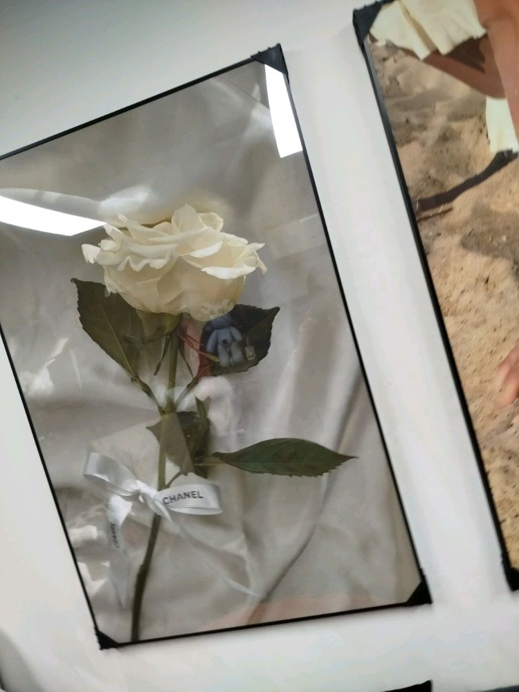 샤넬 장미 해변 여인 감성 대형 그림액자 그림 액자 팝아트 인테리어소품 명품그림 명품액자 꽃 곰인형 콜라보 인테리어--1