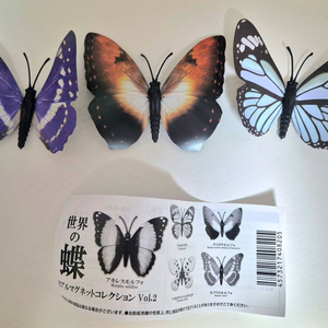 생물 가챠 나비 피규어 3종