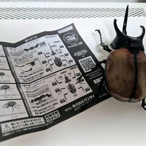 반다이 생물대도감 가챠 장수풍뎅이 피규어