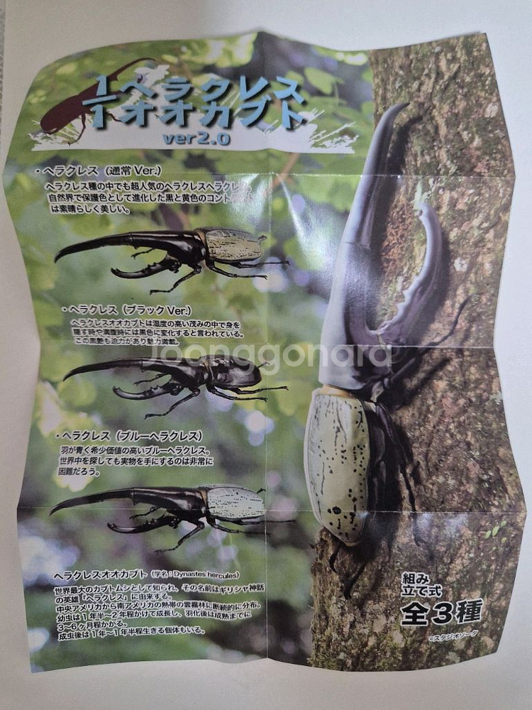 반다이 생물대도감 가챠 헤라클레스 장수풍뎅이 피규어--2