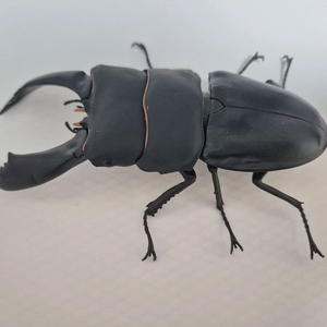 반다이 생물대도감 8탄, 10탄