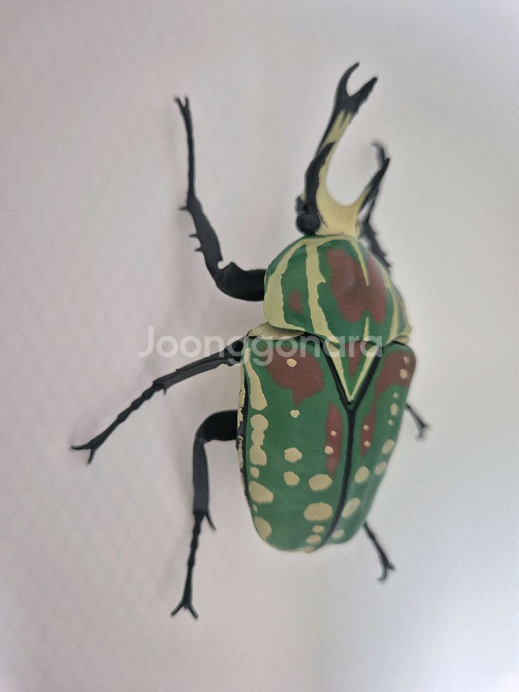 반다이 생물대도감 8탄, 10탄--3