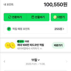 네이버페이 포인트 10만원권