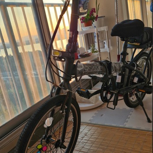 (준신품) 전기자전거 스카닉 scanic 몇번 안타고 실내보관