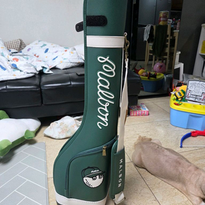 말본 하프백 골프백 팝니다