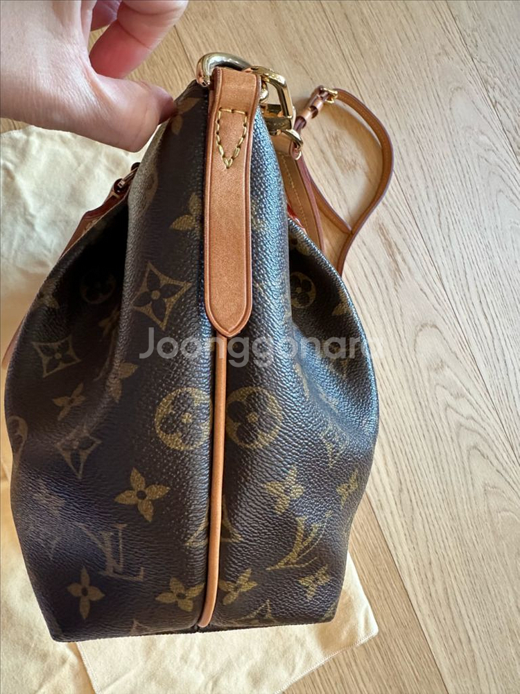 루이비통 튀렌느 pm사이즈--5