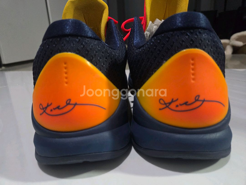 나이키 코비5 케이틀린 클락--3