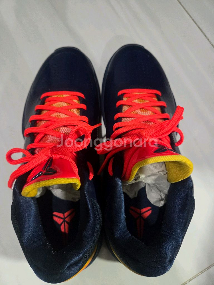 나이키 코비5 케이틀린 클락--5