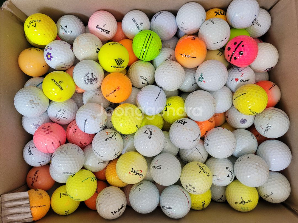 하품 B - 이하 로스트볼 골프볼 골프공--5