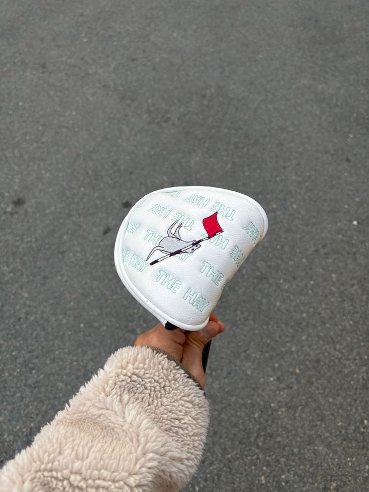 골프 오딧세이 투볼 엑소 한정판 퍼터 34인치 이미지