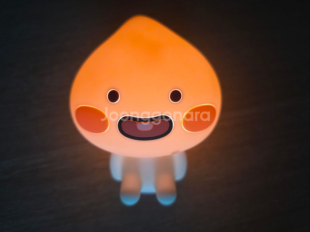 카카오프렌즈 어피치&라이언 무드등--1